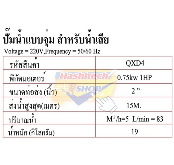 ปั๊มน้ำแบบจุ่ม 2 นิ้ว (เหล็กหล่อ) - Image 5